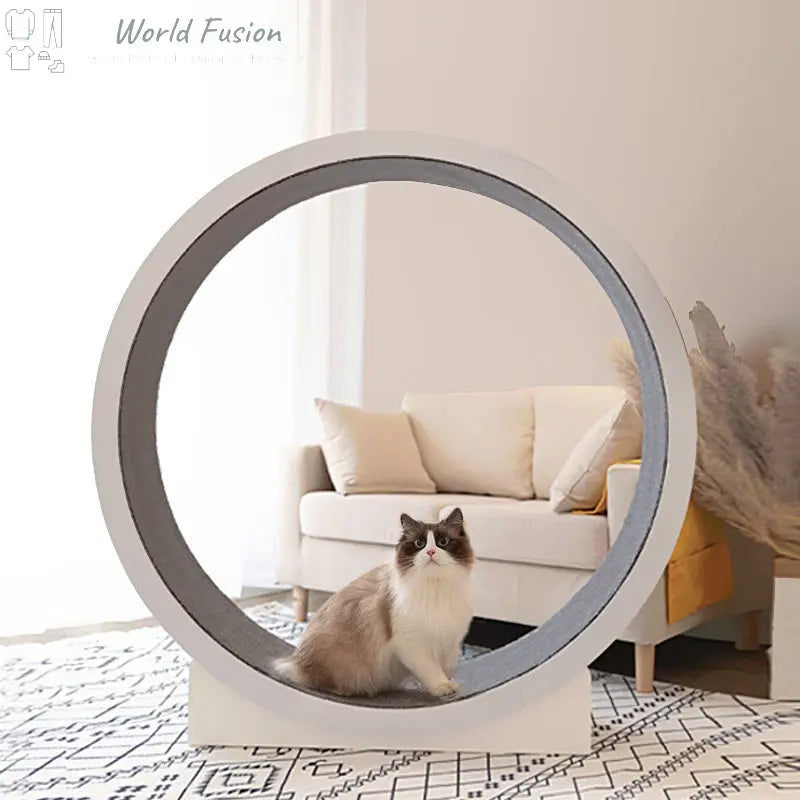 Big Rolling Cat Climbing Frame Running Wheel World Fusion