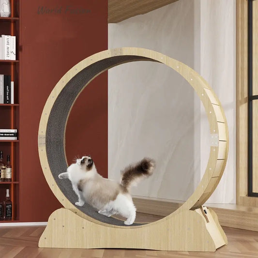 Cat Exercise Wheel Toy