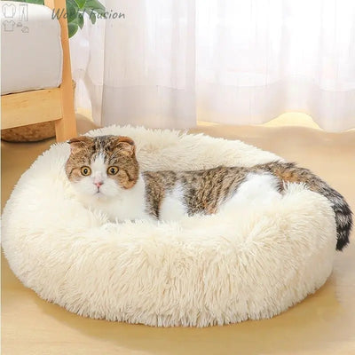 Super Soft Dog Bed - World Fusion