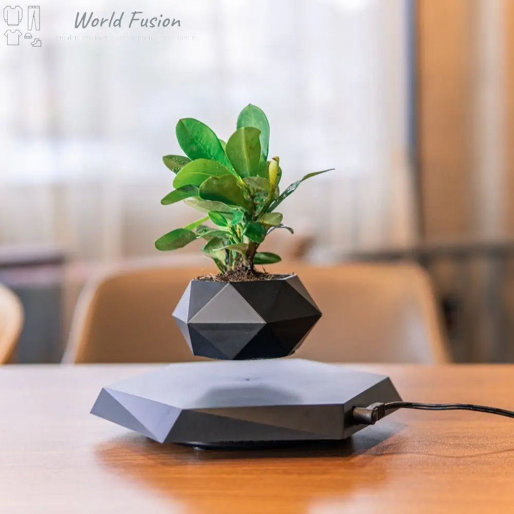 Floating Magnetic Levitating Flower Pot Bonsai Air Plant Pot Planter Potted For Home Office Desk Decor Creative Gift - World Fusion