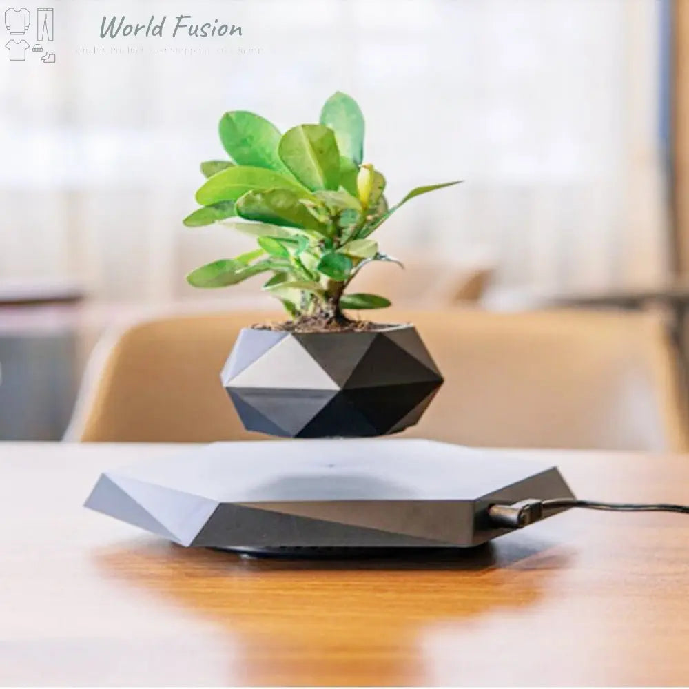 Floating Magnetic Levitating Flower Pot Bonsai Air Plant Pot Planter Potted For Home Office Desk Decor Creative Gift - World Fusion