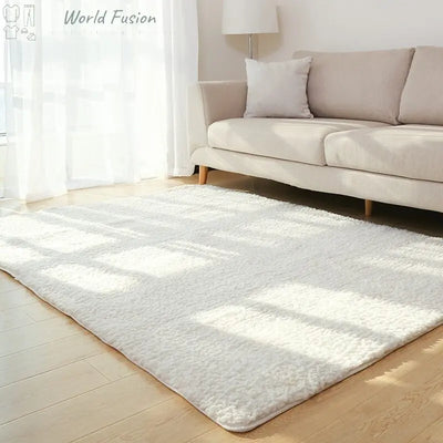 Soft Fluffy Area Rug