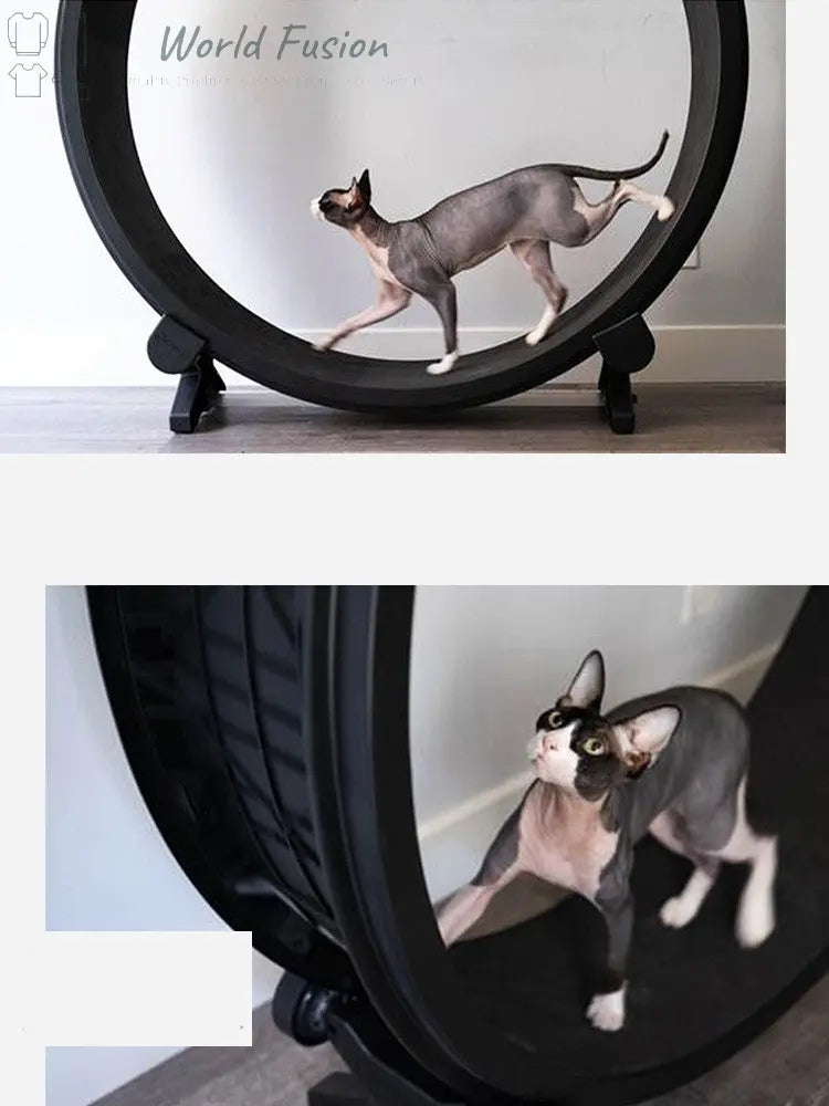 Pet Cat Running Wheel Fitness Toys World Fusion